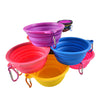 Pet Travel Bowl Silicone Collapsible Feeding Water Dish