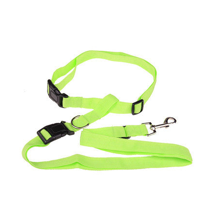 Dog leash running jogging
