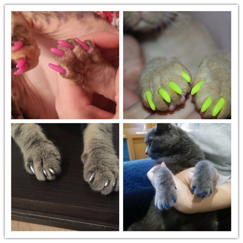 100pcs / lot Cat Nail with free 5Adhesive Glue + 5Applicator