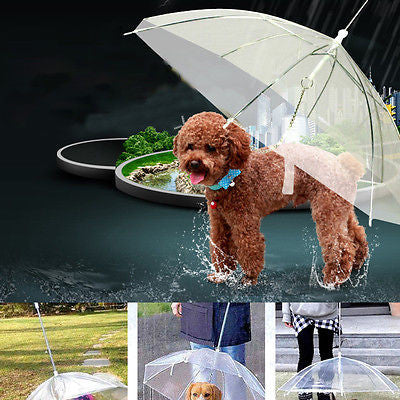 Pet Umbrella - Puppy Umbrella