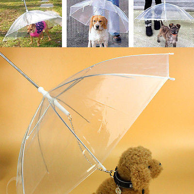Pet Umbrella - Puppy Umbrella