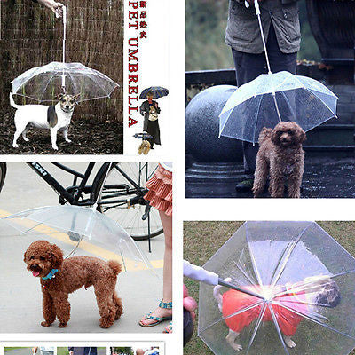 Pet Umbrella - Puppy Umbrella