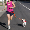 Dog leash running jogging